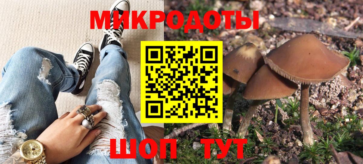 Галлюциногенные грибы мухоморы Калач-на-Дону
