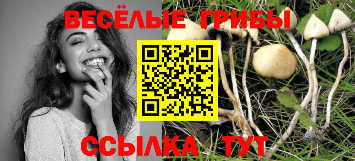 Меф мяу мяу Калач-на-Дону