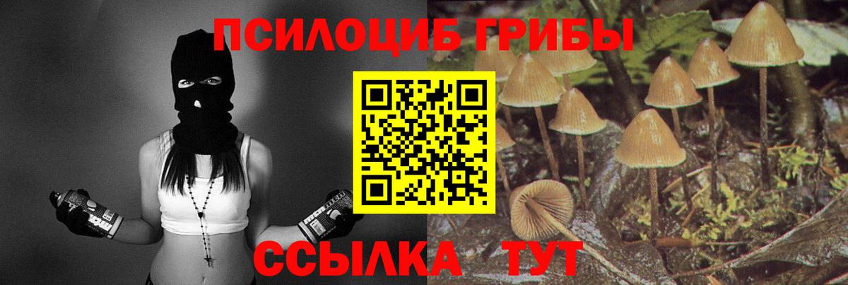 Псилоцибиновые грибы Cubensis  Вход с VPN  Калач-на-Дону  Псилоцибиновые грибы ЛСД 